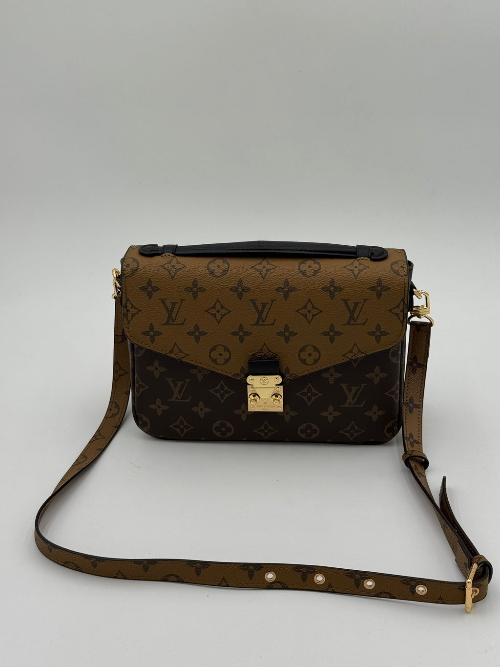 Metis bicolore 25cm