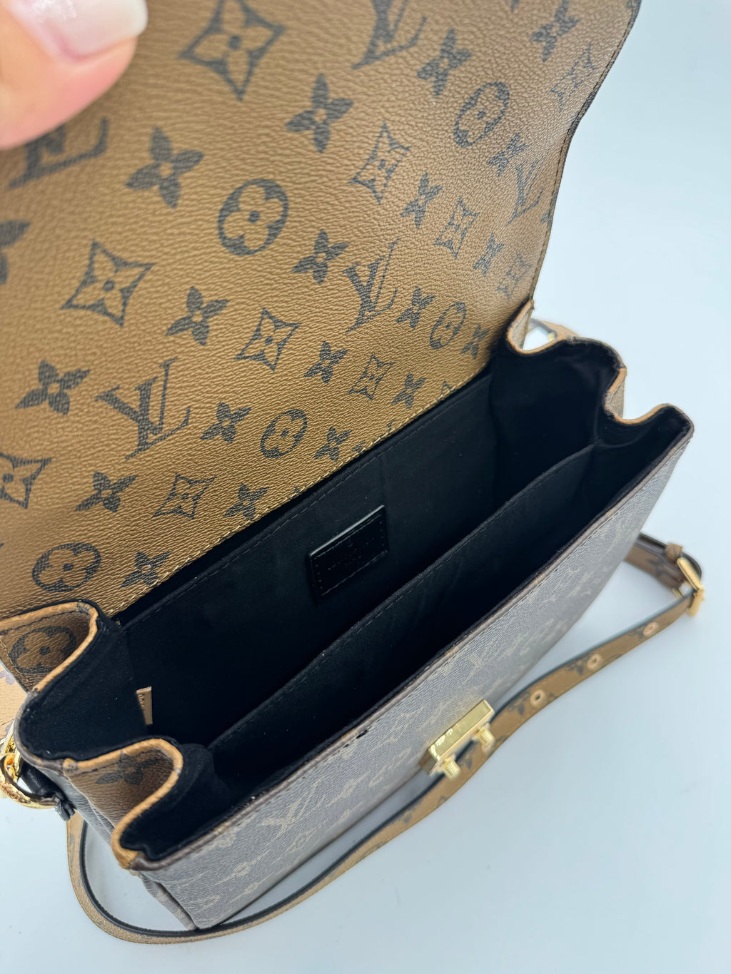 Metis bicolore 25cm